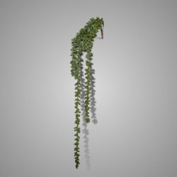 Hanger Garden Pea 71 cm