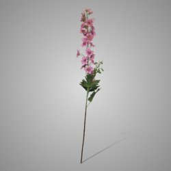 Delphinium Pink 79 cm