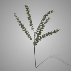 Eucalyptus Stem Grey Green 71 cm