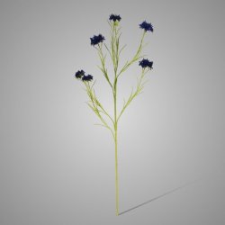 Cornflower spray James dk blue 90cm