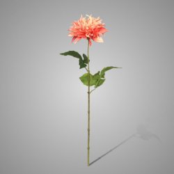 Dahlia spray Mumba peach 63cm