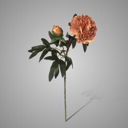 Peony Spray Yellow Brown 87 cm