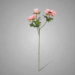 Anemone Peach 56 cm