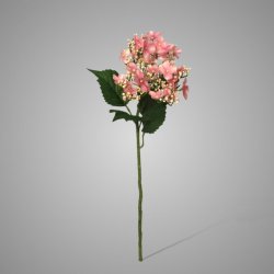 Butterfly Hydrangea Pink 70 cm