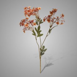 Babysbreath Coffee L 80 cm