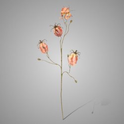 Gloriosa Ant. Pink 80 cm