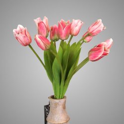 Bundle of 12 Mixed Tulips Dark Pink L 50cm