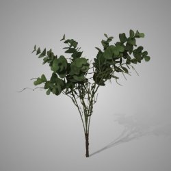 Eucalyptush Bush Green 35 cm