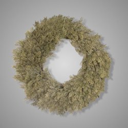 Wreath Dillweed L D. 60