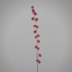 Callicarpa, 103 cm, pink