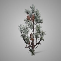 THUJA CONE 36 cm