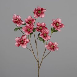 Christmas rose with nine flowers, 93 cm, rose