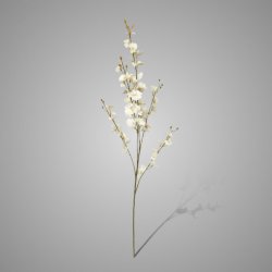 Oncidium Spring White 91 cm