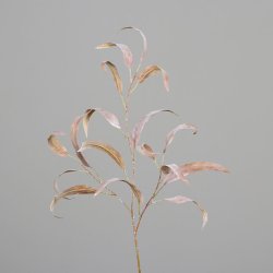 Eucalyptus branch, 82 cm, sand