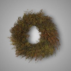 Wreath Asparagus M D.50