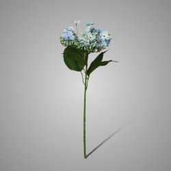 Butterfly Hydrangea Light Blue 70 cm