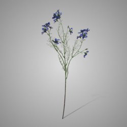 Wild Delphinium Blue 71 cm